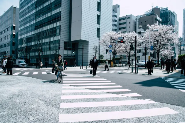 Apakah Lulusan Senmon Bisa Langsung Kerja di Jepang?